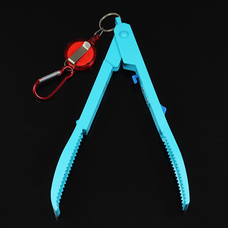 The sky blue with a trachea